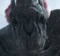 Maggot1300